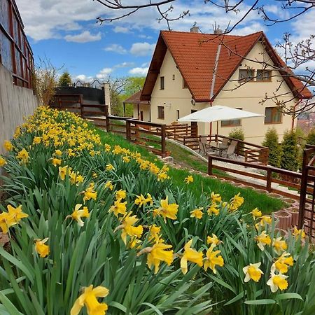 Apartament Matei Braşov Eksteriør billede