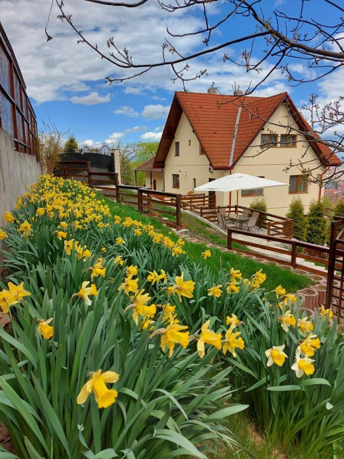 Apartament Matei Braşov Eksteriør billede
